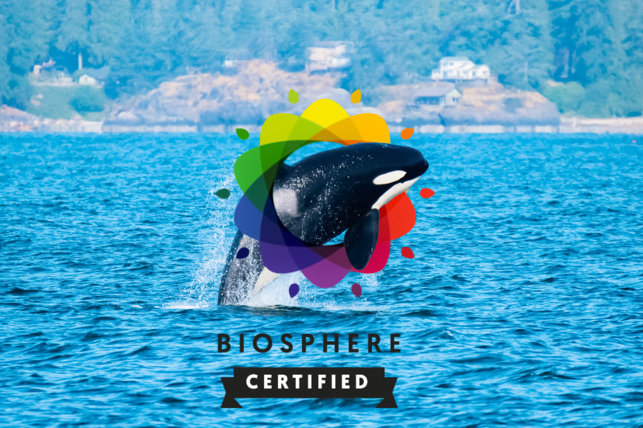 orca swimming in biosphere