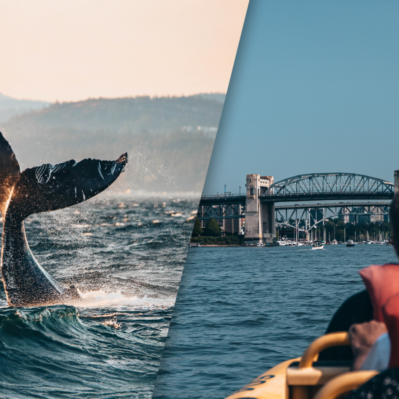 granville island combo