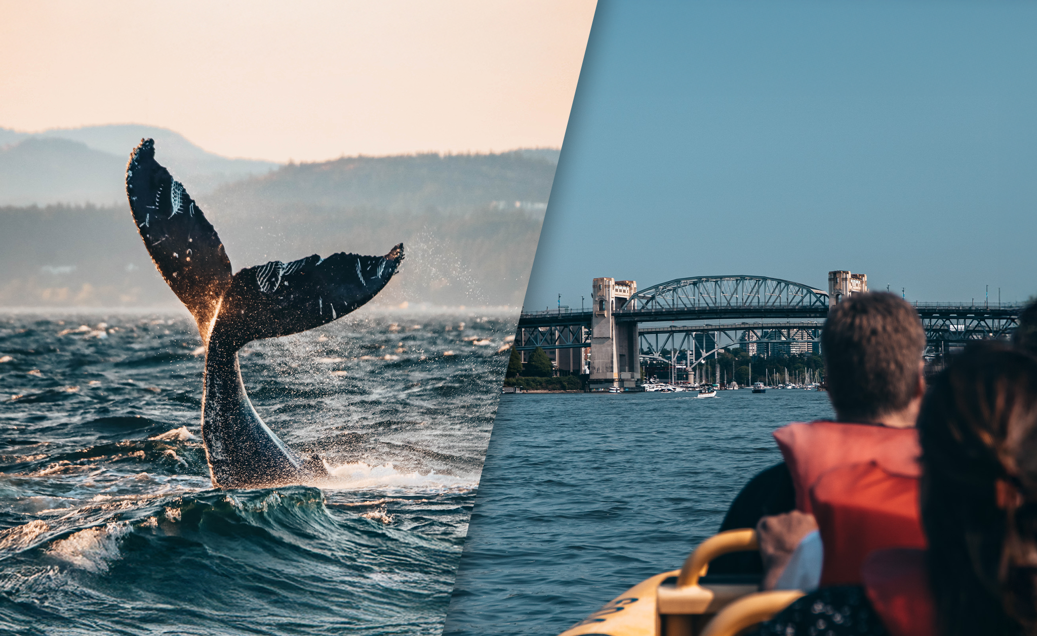 granville island combo