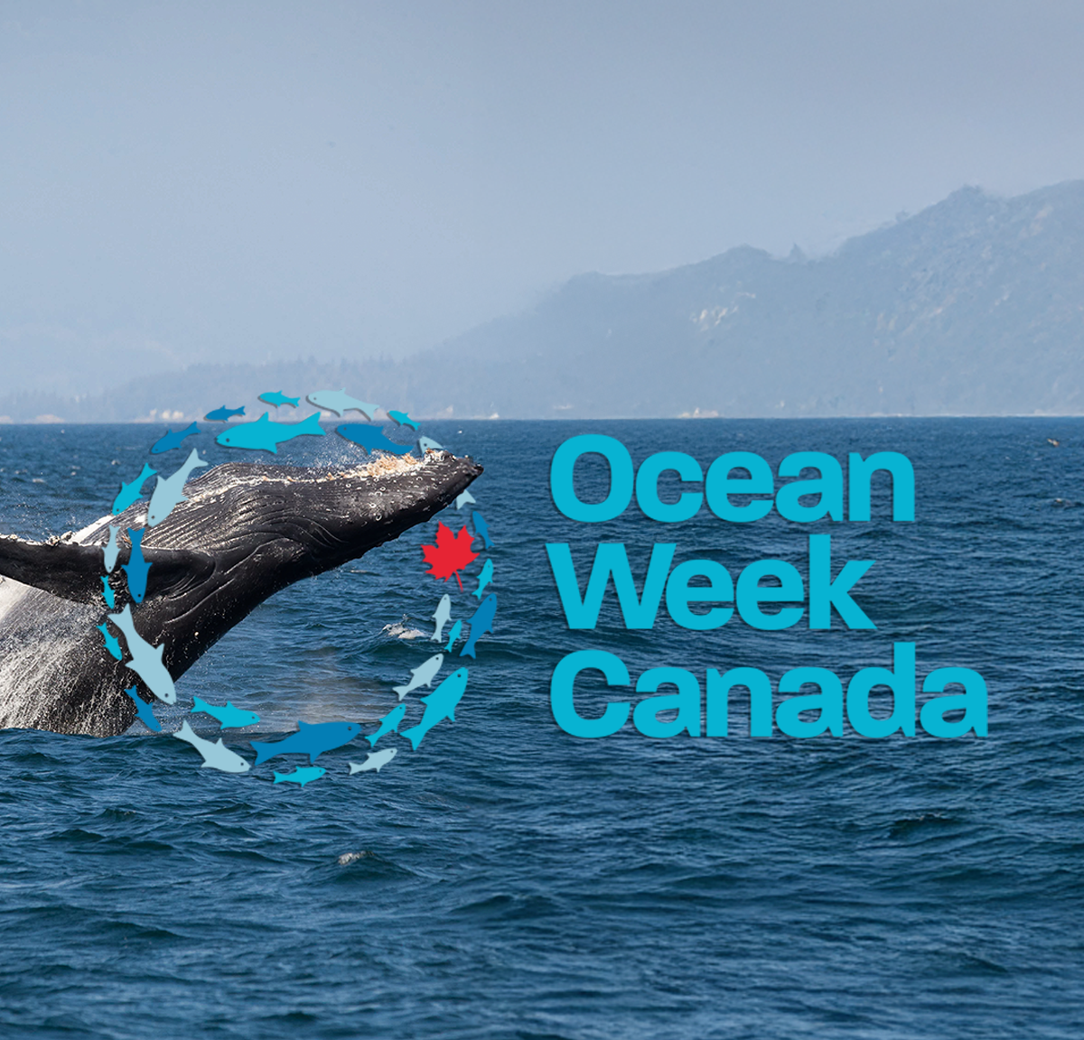 ocean week banner prince of whales