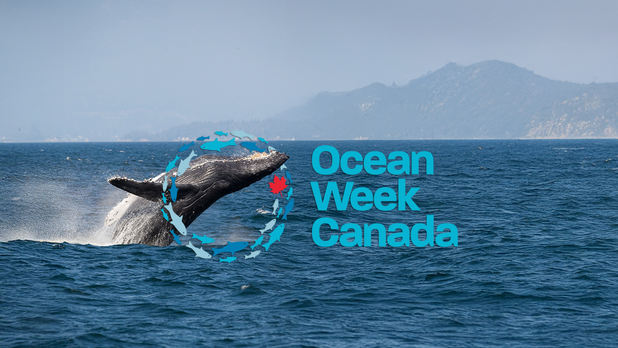 ocean week banner prince of whales