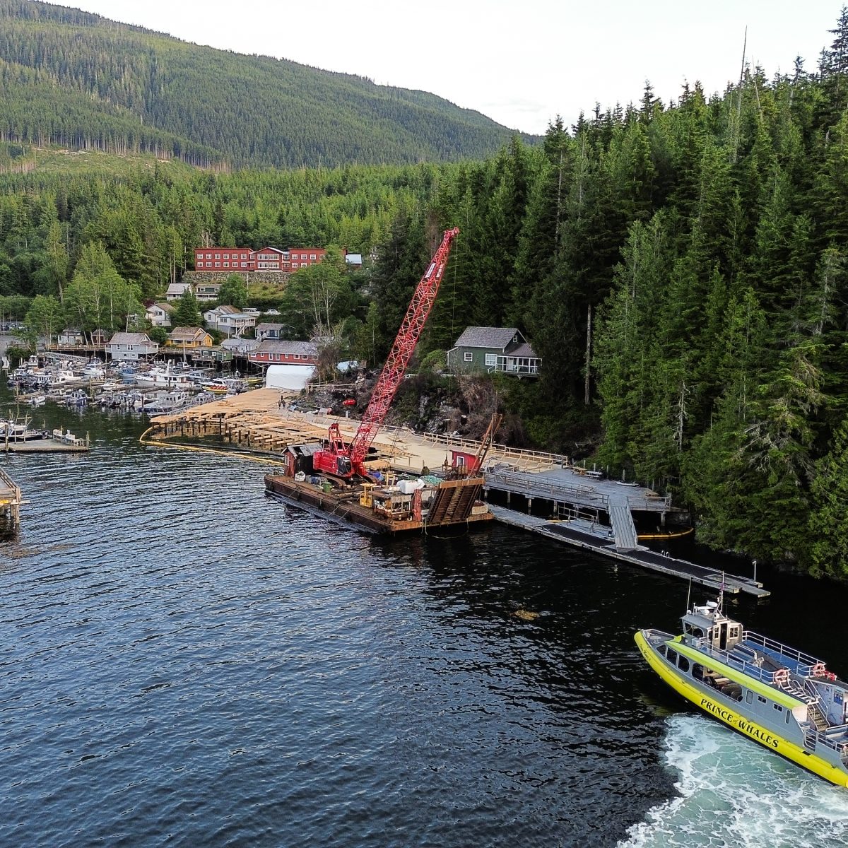 telegraph cove