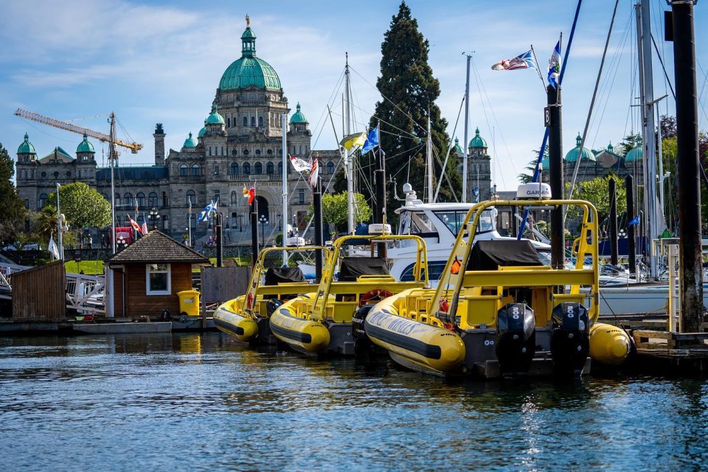 prince of whales zodiac in victoria