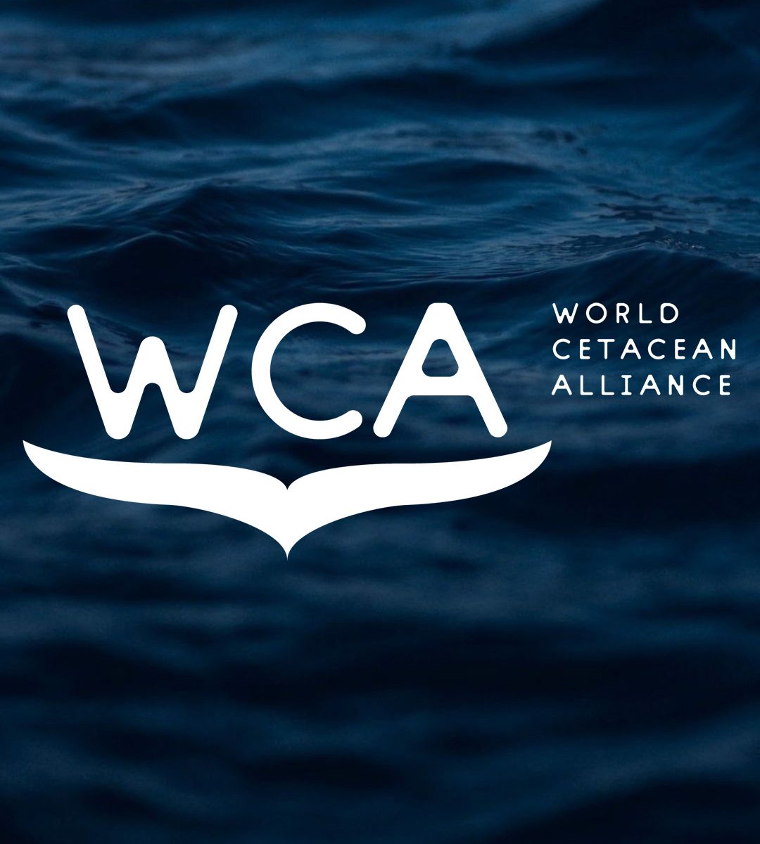 world cetacean alliance