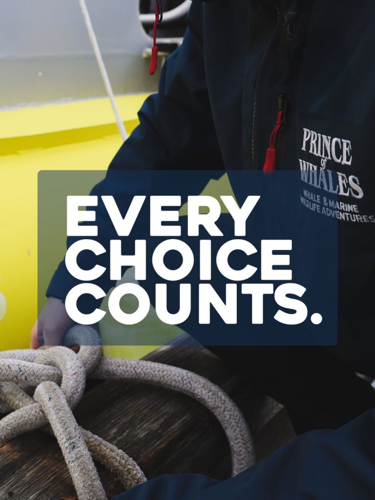 every choice counts
