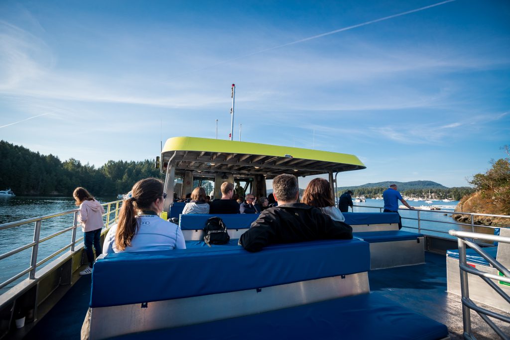 People aboard whale watching boat
