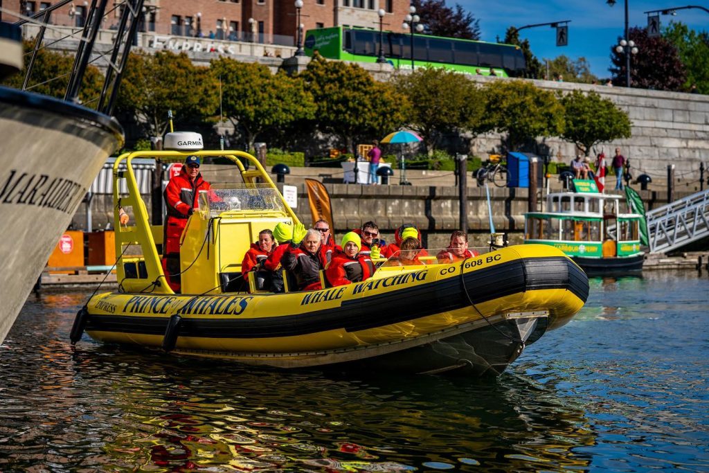 Zodiac in the harbour