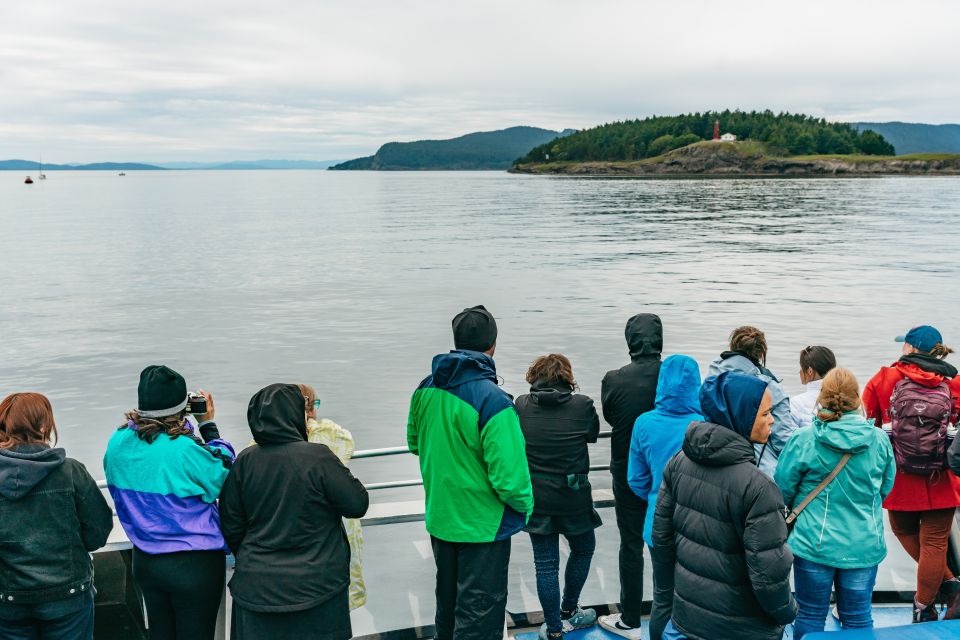 Guests searching for whales