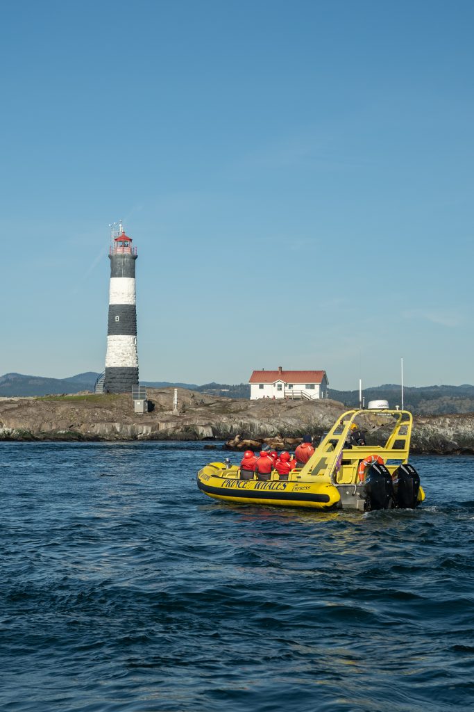 Zodiac watching Race Rocks