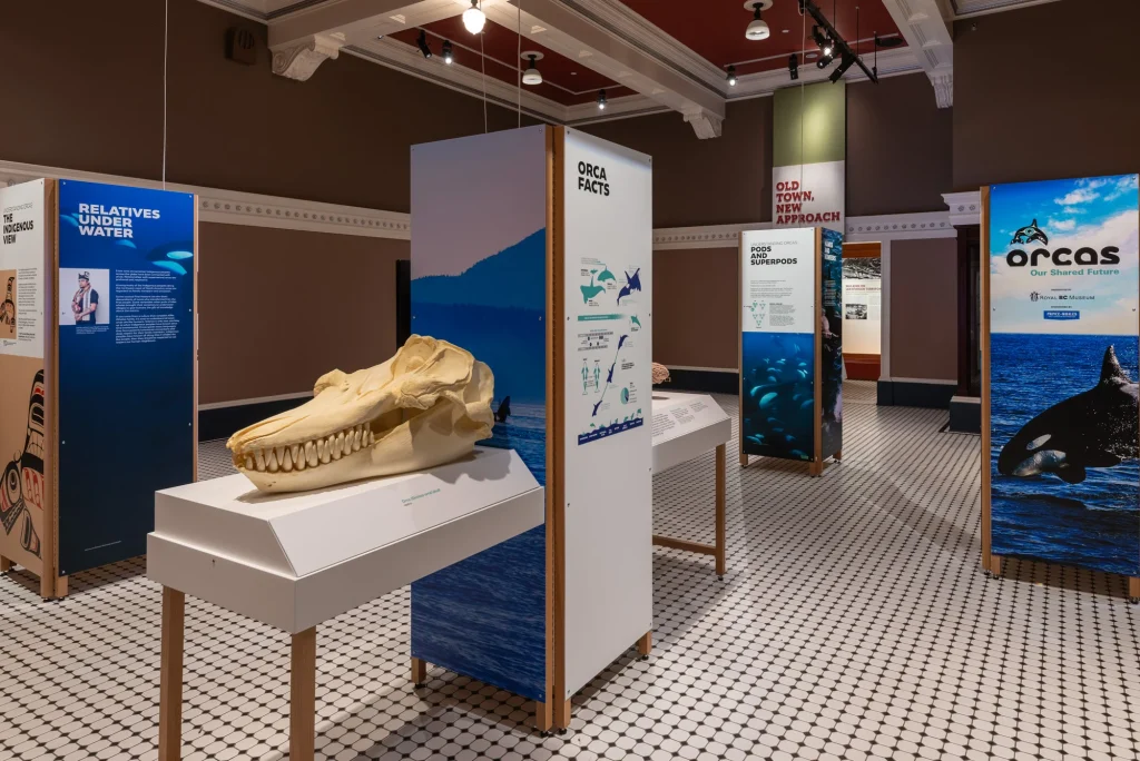 prince of whales sponsors Orcas: Our Shared Future