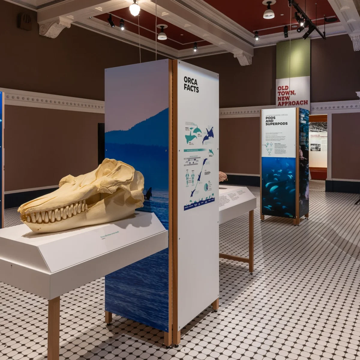 prince of whales sponsors Orcas: Our Shared Future