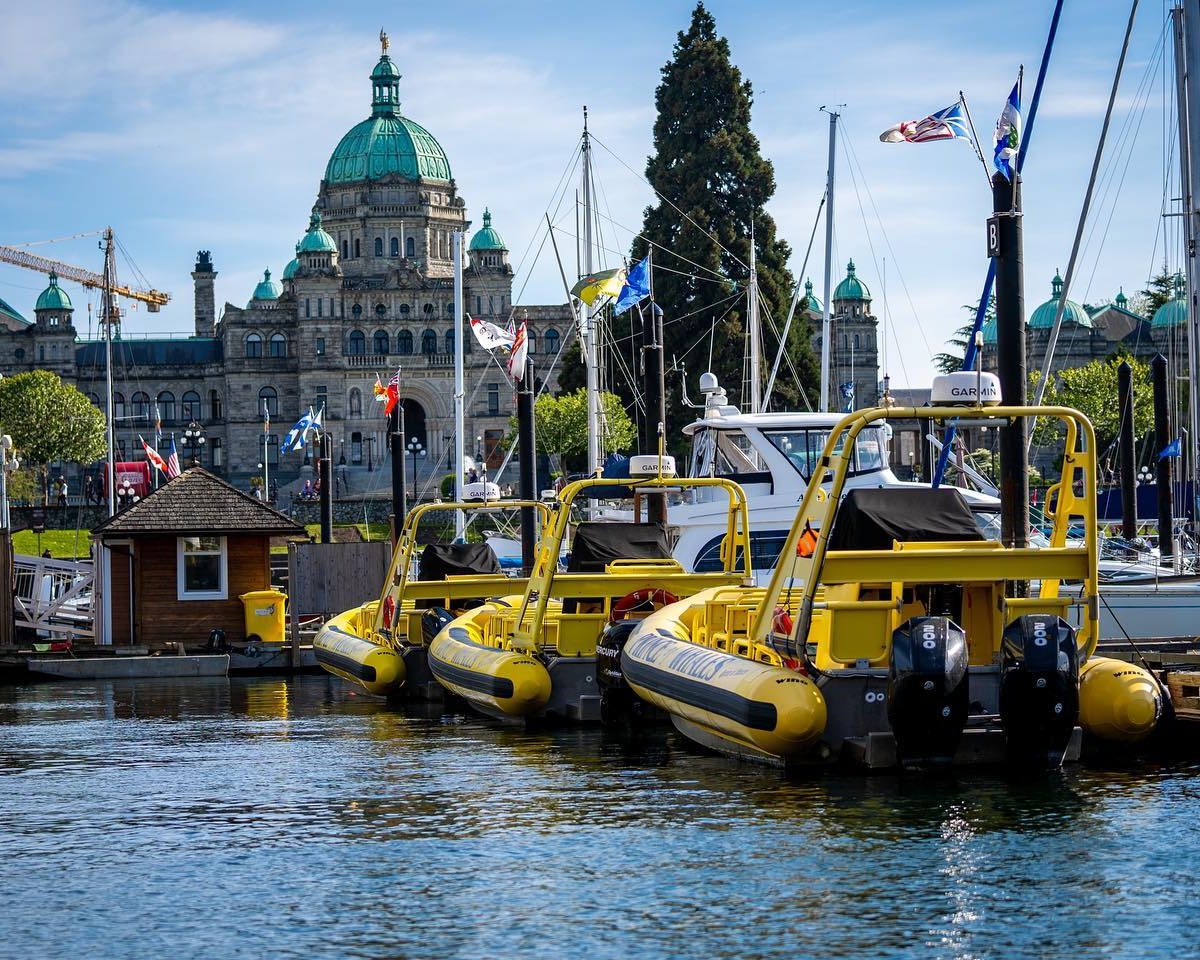 Zodiac in Victoria Harbour