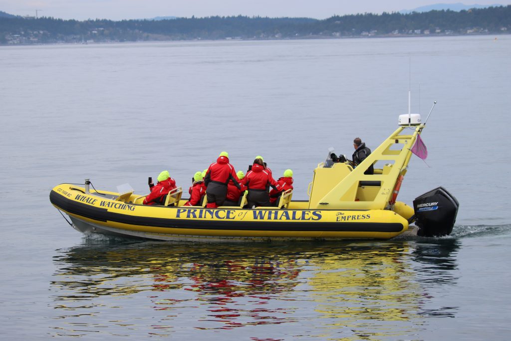 zodiac boats