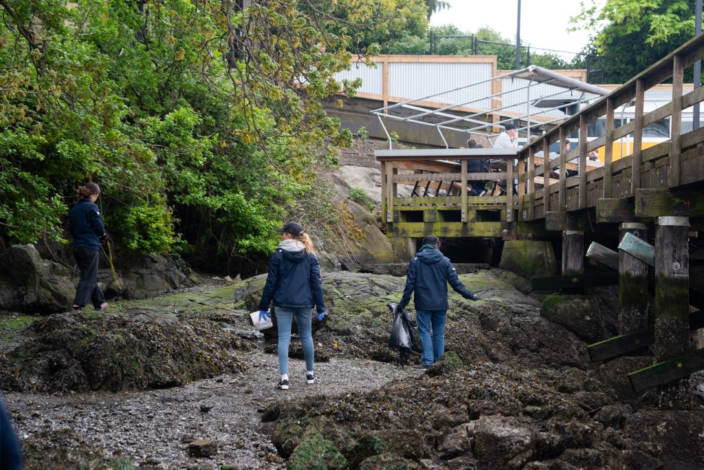 Cleaning garbage on the shore