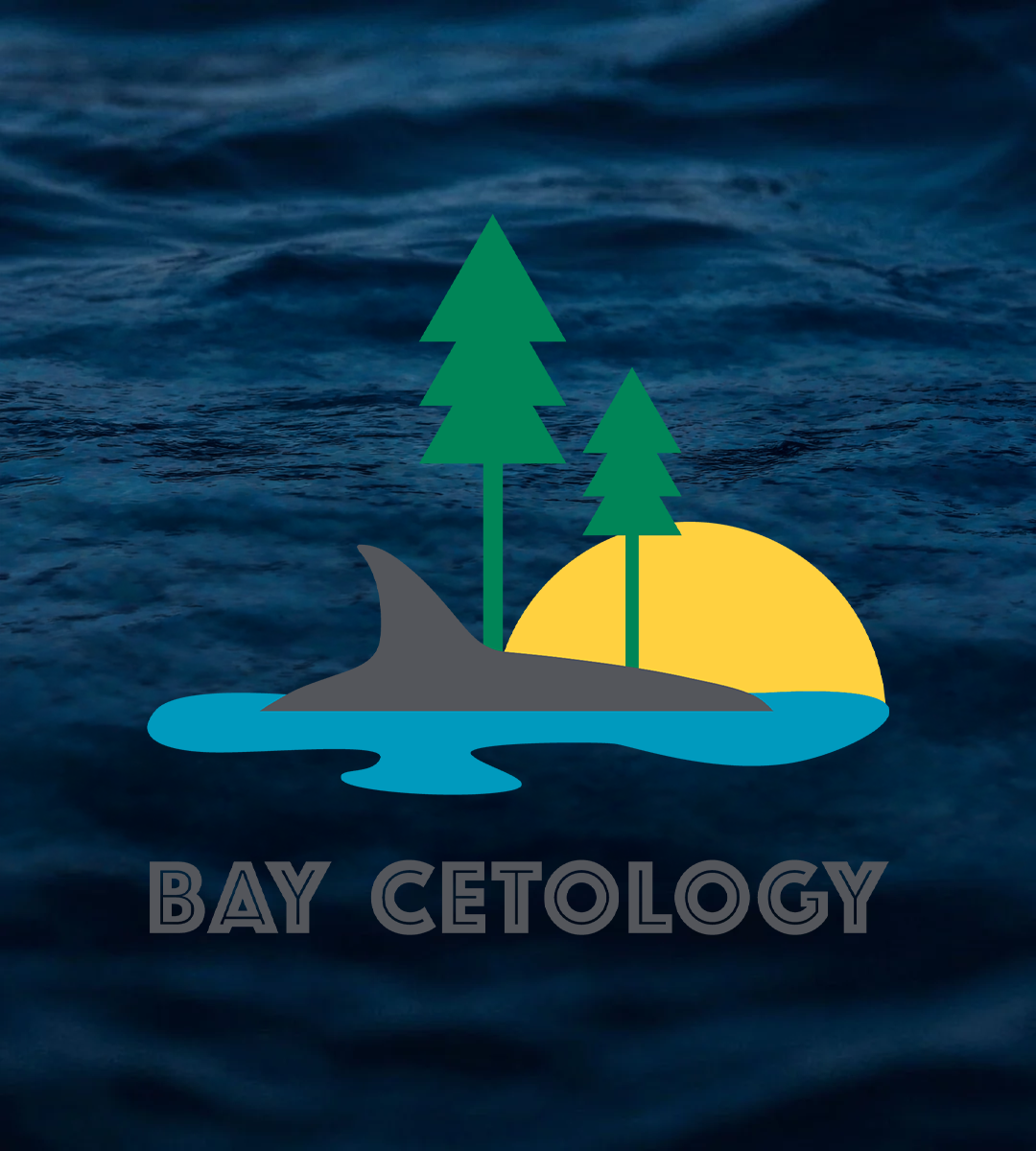 bay cetology