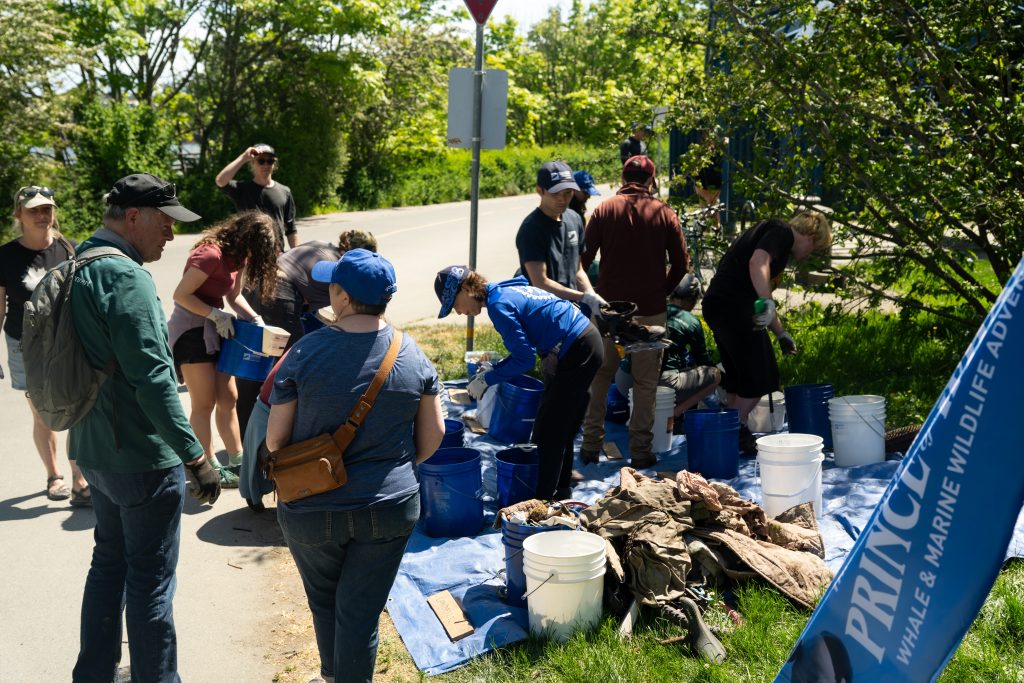 surfrider cleanup