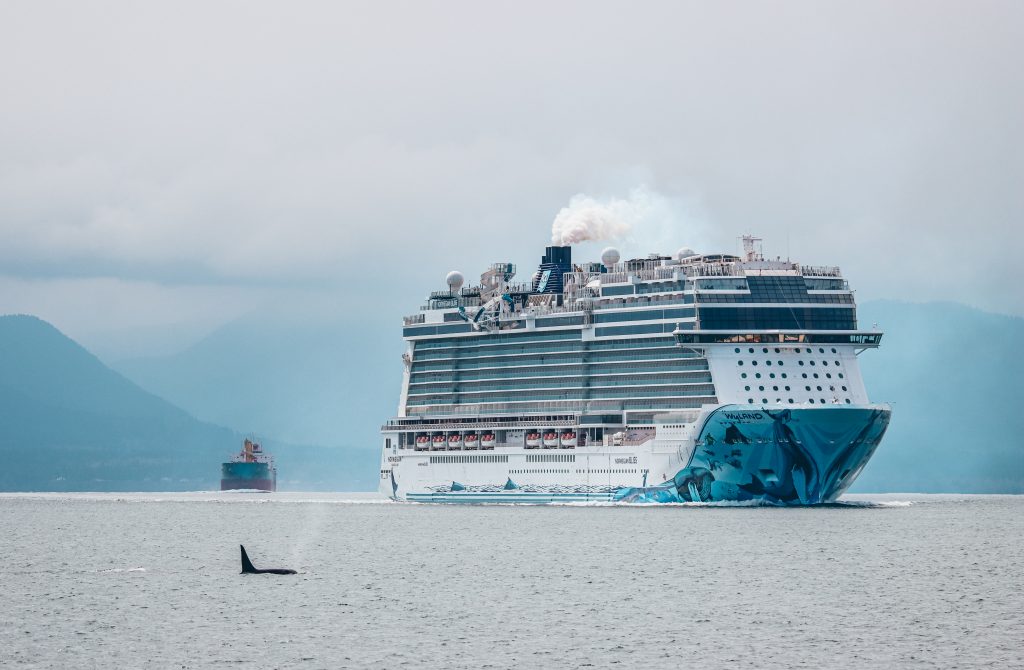 cruise