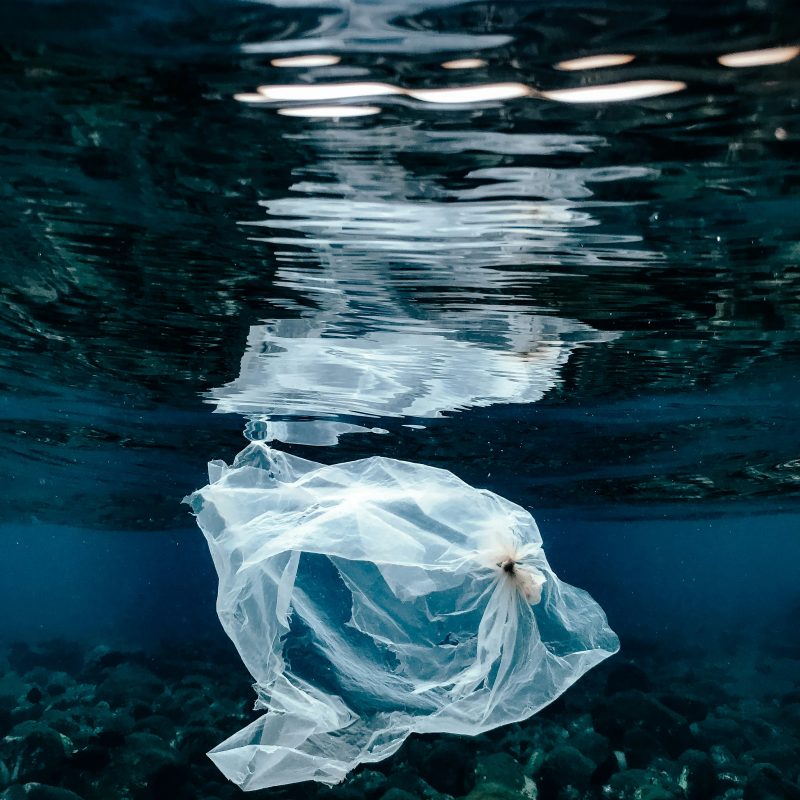 plastic