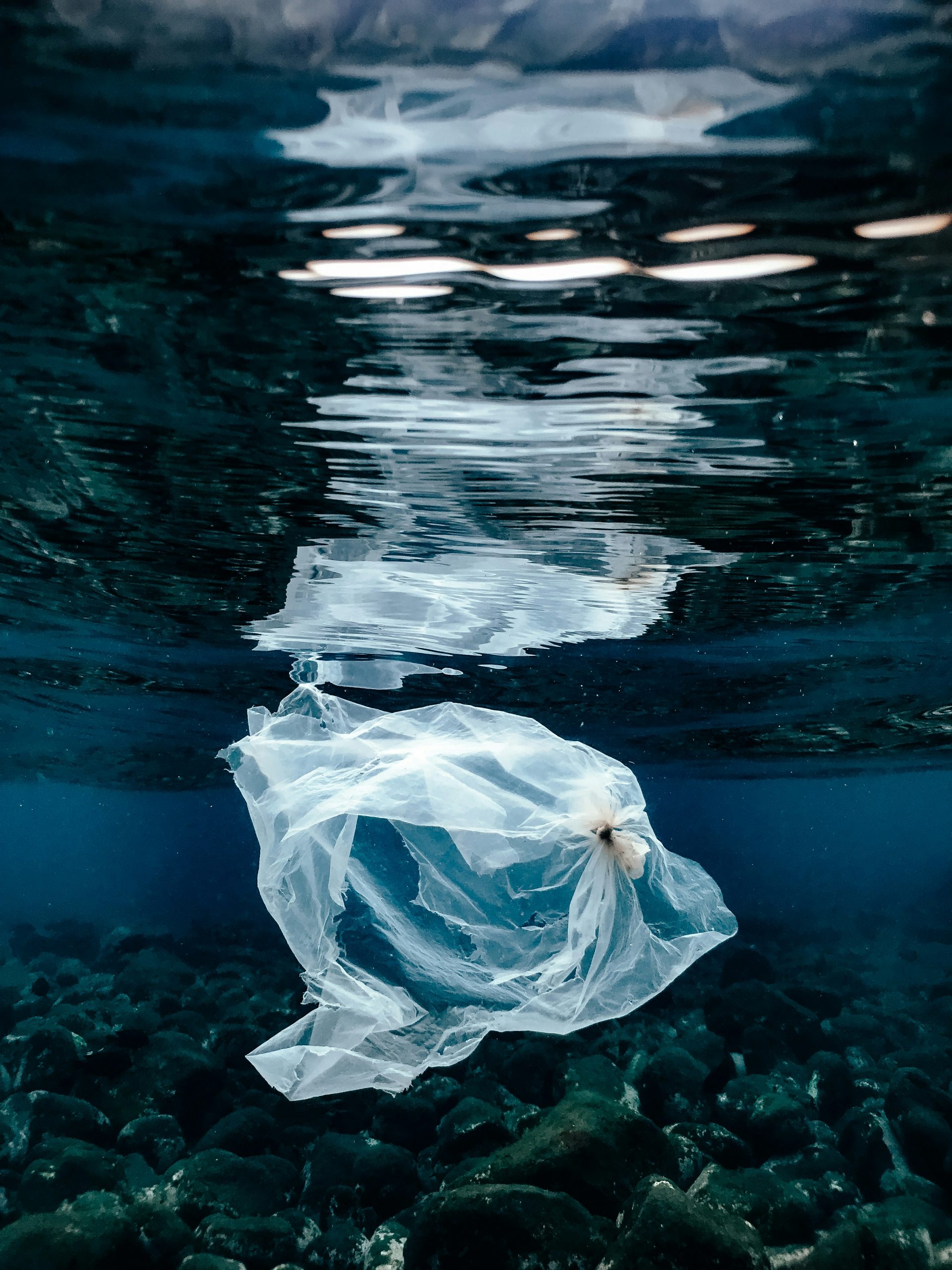plastic