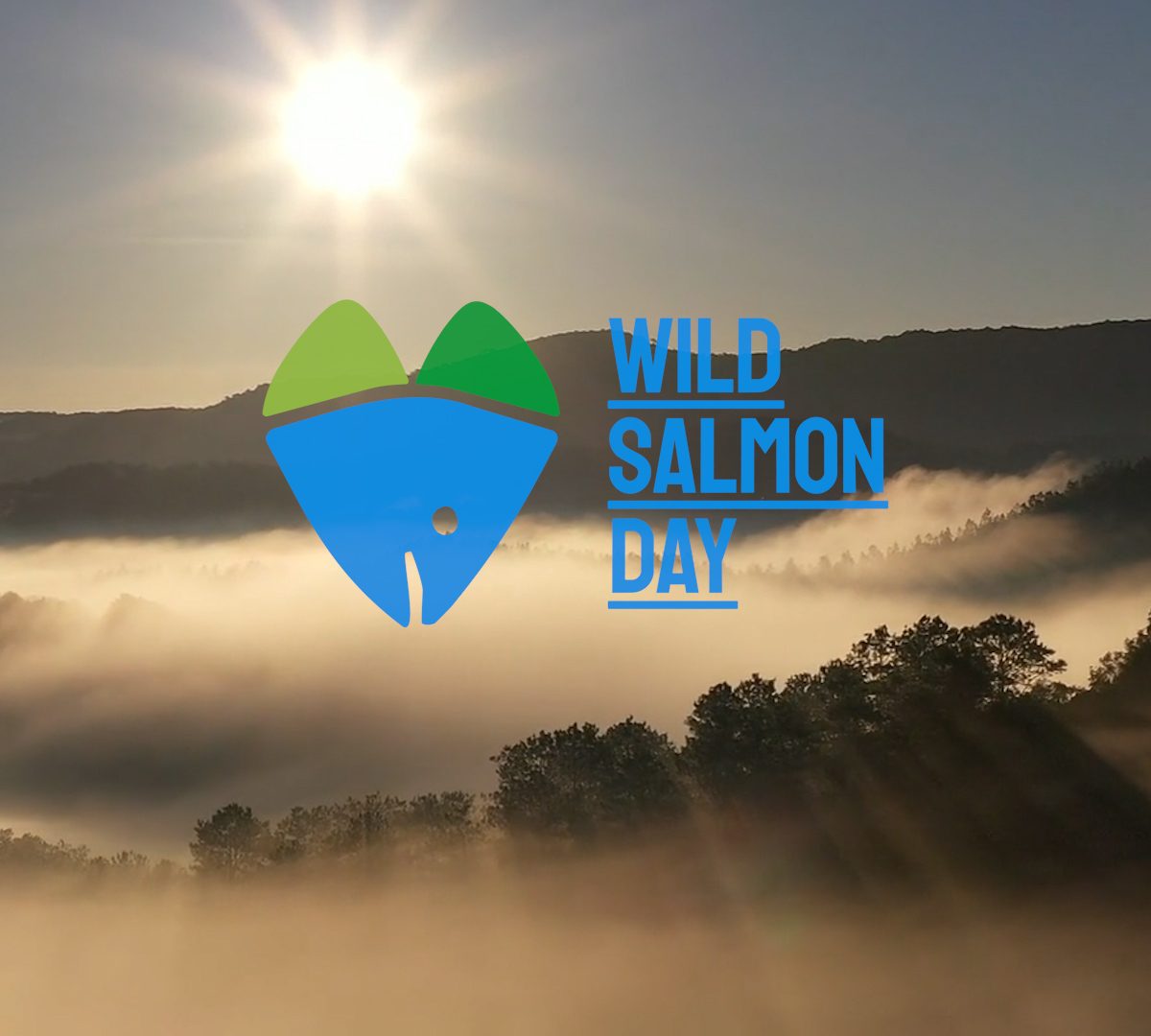 wild salmon day