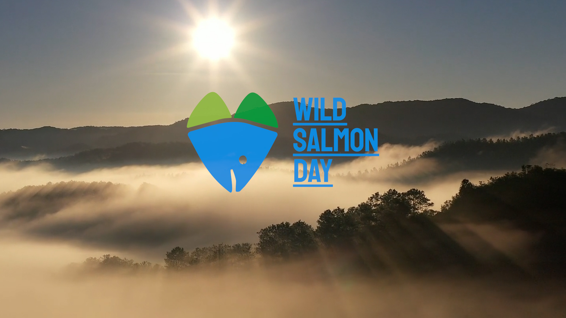 wild salmon day