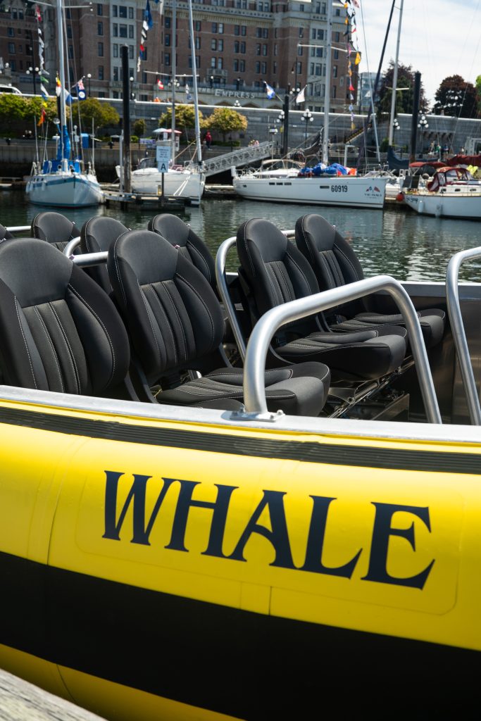 New Zodiac Features - prince of Whales
