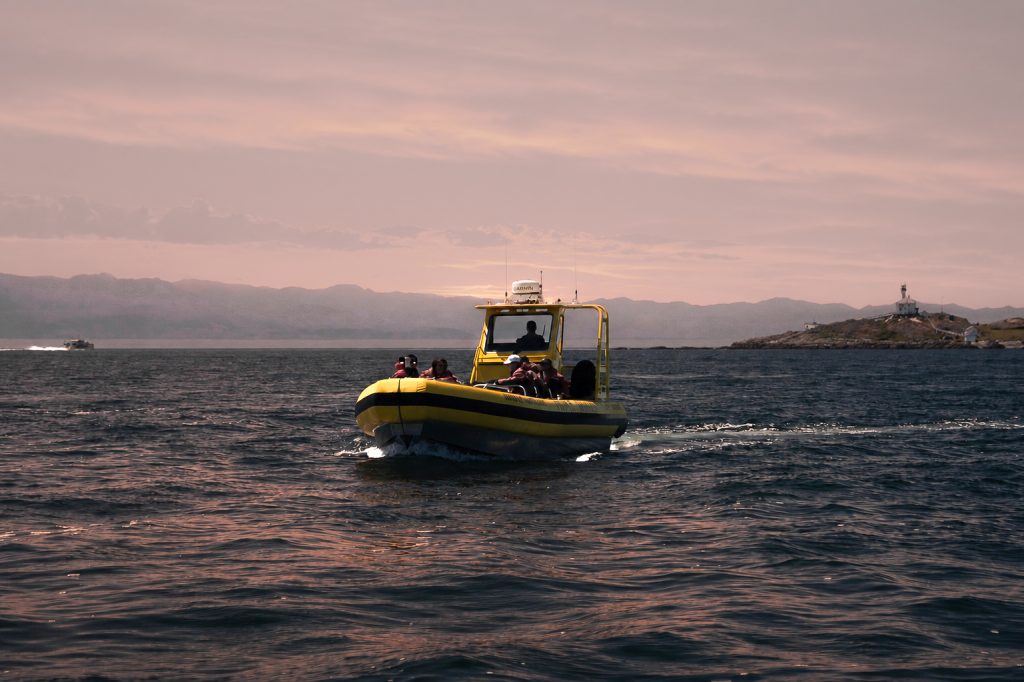 Premium Zodiac at Sunset
