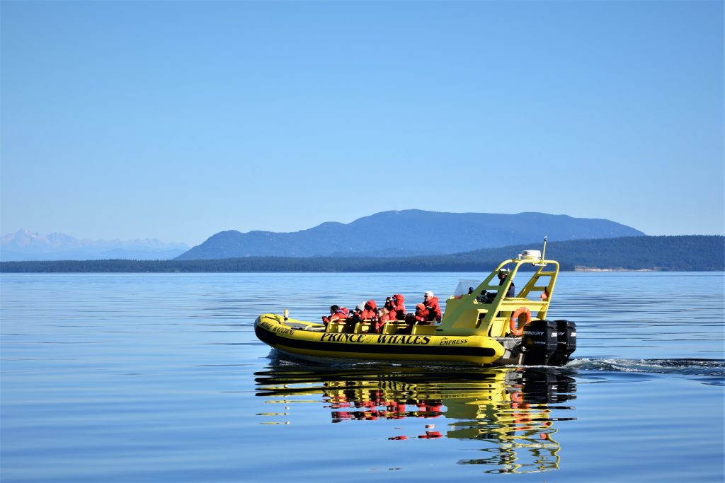 Zodiac on the water