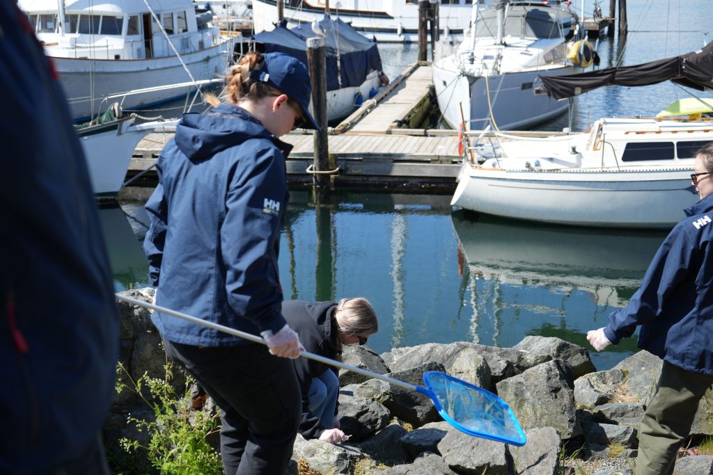 Collecting Debris on the shore