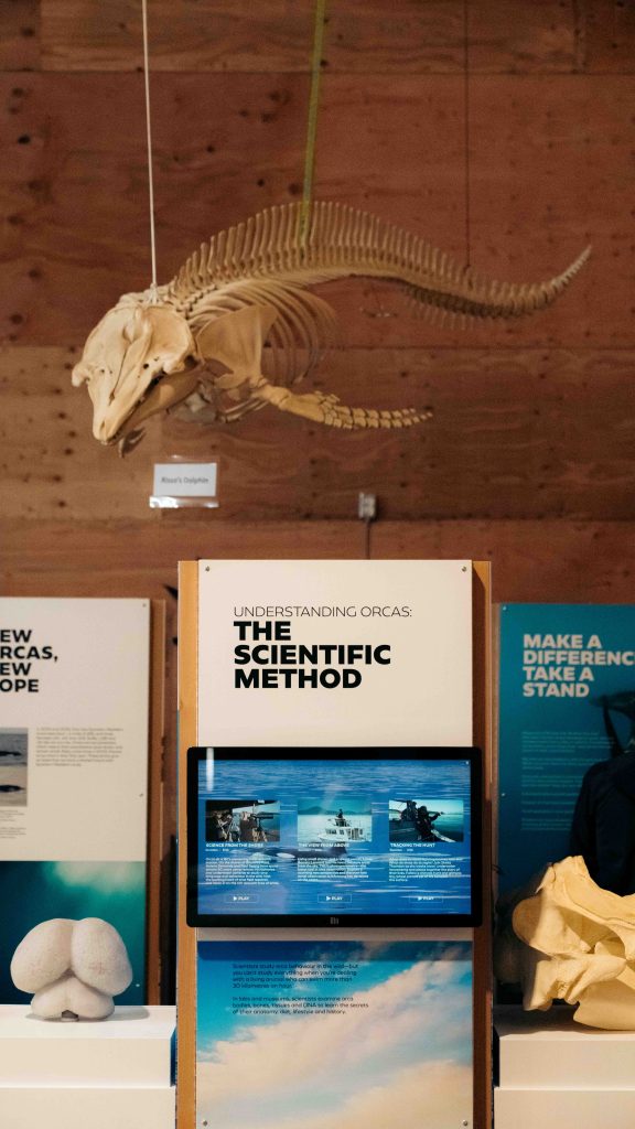 whale interpretive centre 2026