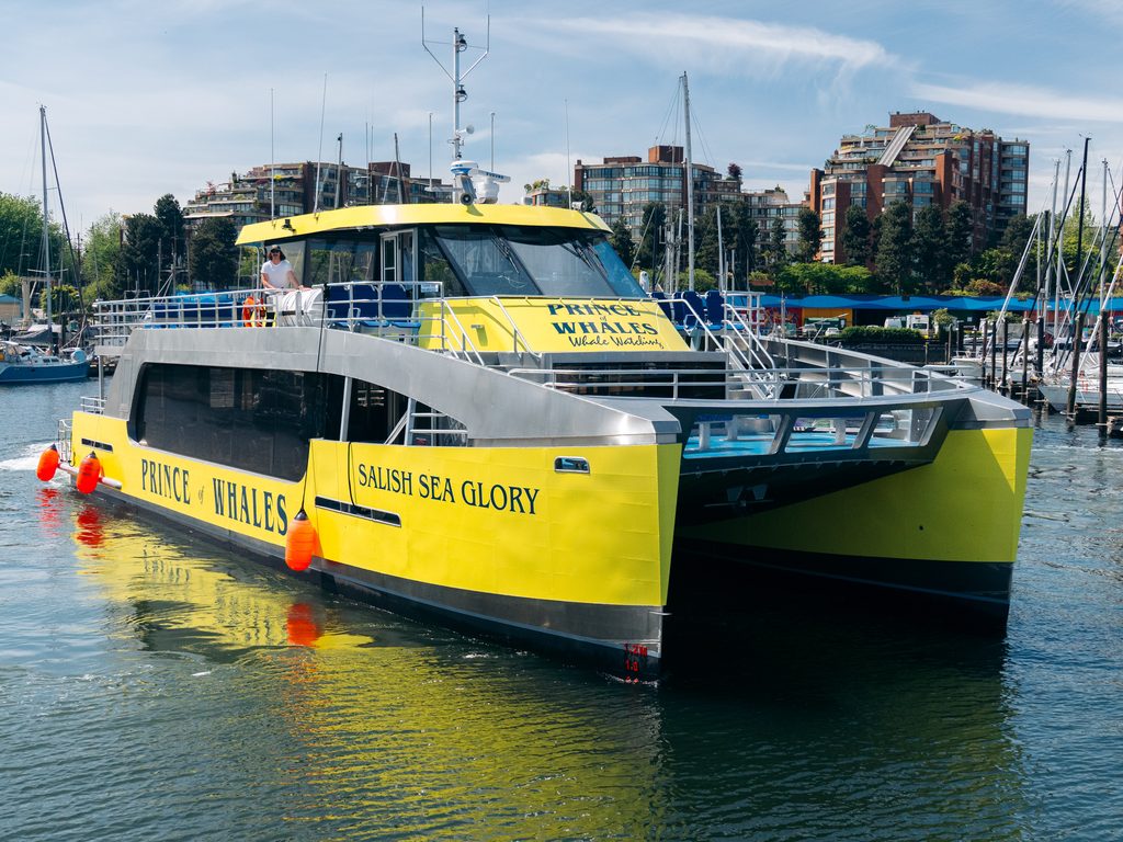 Catamaran Boat