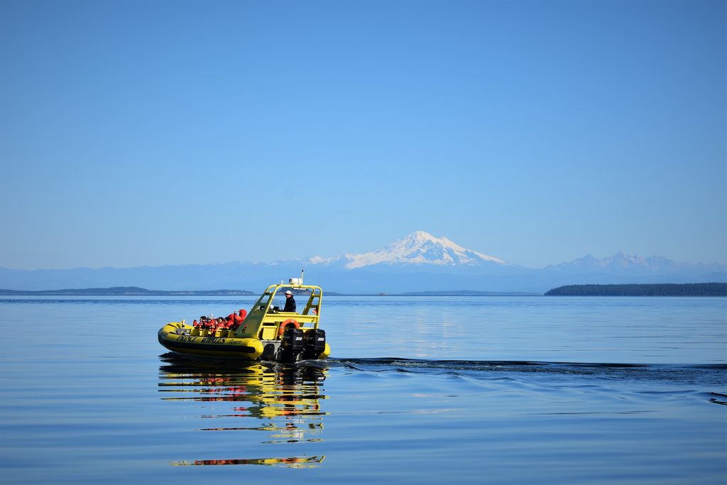 Winter Zodiac trip