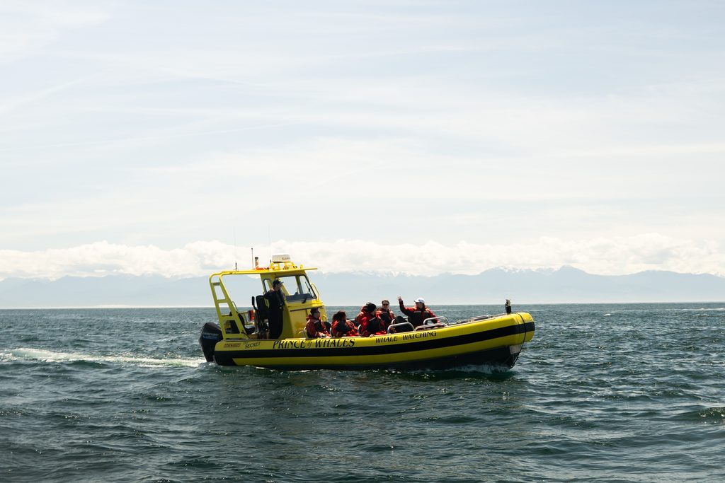 Zodiac Boat Prince of Whales