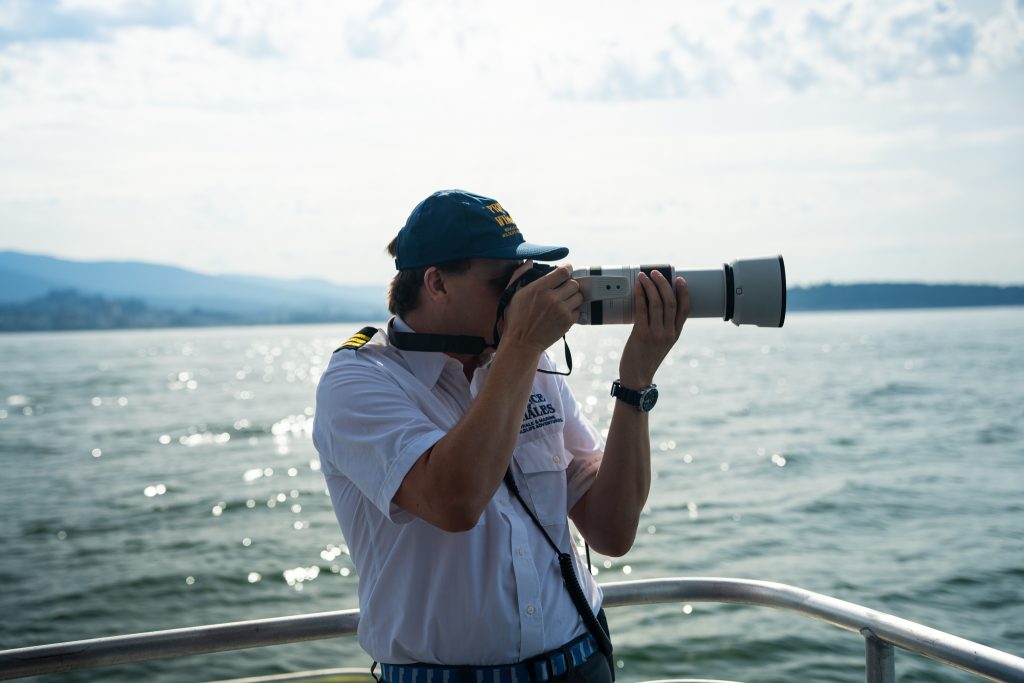 Wildlife Photography